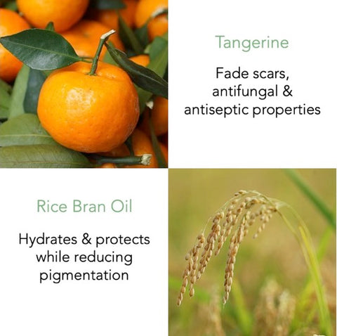 Aromatic Wood Body Milk 320ml - THANN Singapore