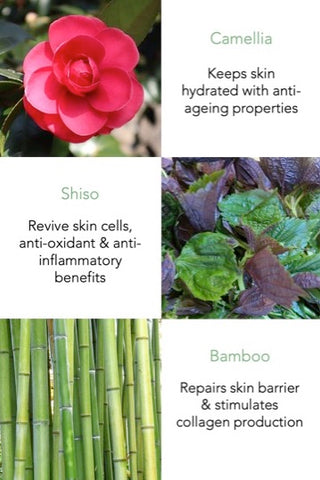 Very Water Resistant Facial Sunscreen SPF50 PA++++ 40g - THANN Singapore