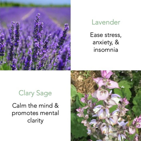 Earl Grey Essential Oil 50ml - THANN Singapore