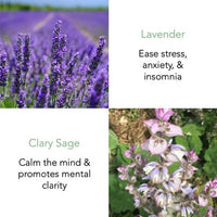 Earl Grey Essential Oil 50ml - THANN Singapore