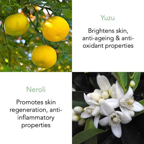 Eastern Orchard Body Milk 320ml - THANN Singapore