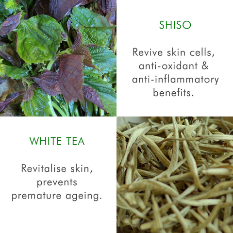 Oil Free Facial Sunscreen Spf30 40g - THANN Singapore