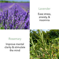 Lavender & Rosemary Essential Oil 50ml - THANN Singapore