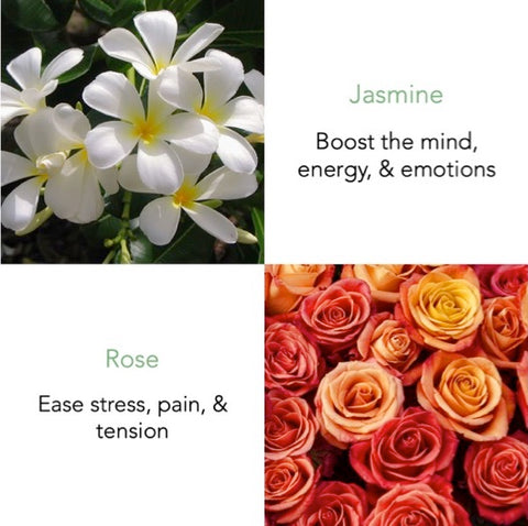 Eden Breeze Essential Oil 10ml with Peony Flower - THANN Singapore