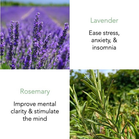 Lavender & Rosemary Essential Oil 10ml with Flower Potpourri - THANN Singapore