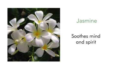 Jasmine Blossom Fragrance Mist 60ml - THANN Singapore