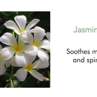 Jasmine Blossom Fragrance Mist 60ml - THANN Singapore
